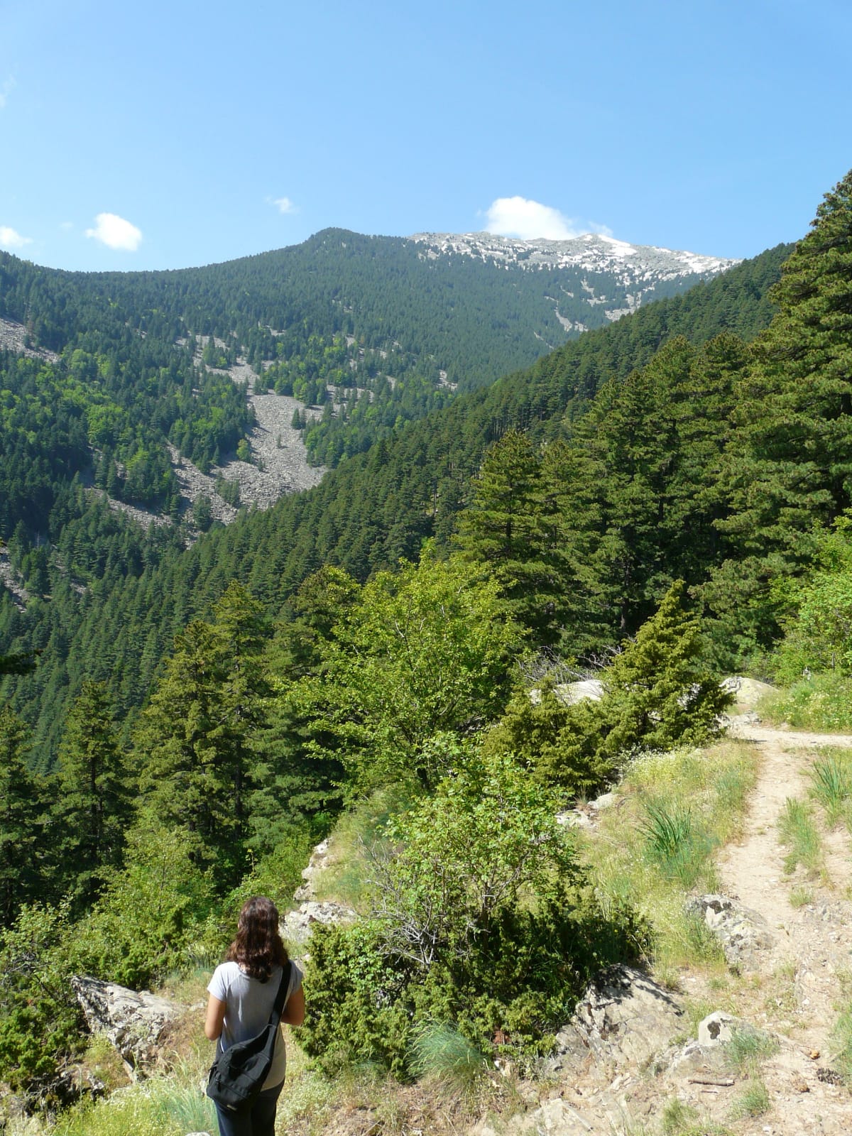 Pelister-National-Park-A-Hidden-Gem-in-North-Macedonia-s-Mountainous-Landscapes