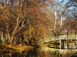 Skopje-City-Park-The-Green-Heart-of-Macedonia-s-Capital