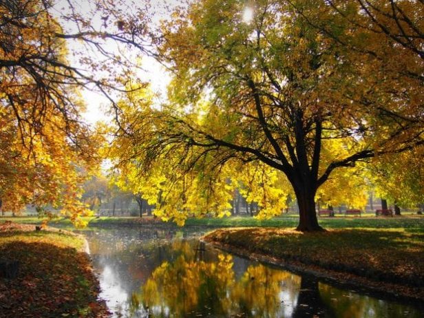 Skopje-City-Park-The-Green-Heart-ofNorth-Macedonia-s-Capital